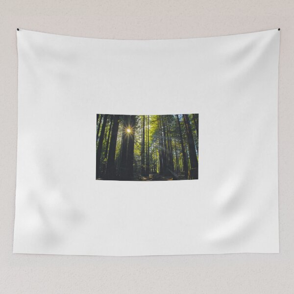 Item preview, Light Through Trees designed and sold by Barbara  Brown.
