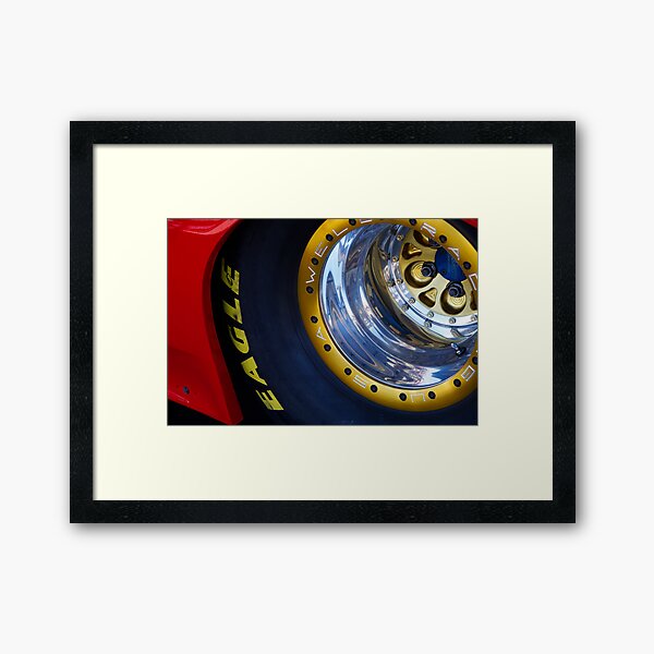 Eagle Framed Art Print