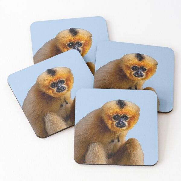 Item preview, Just Sat Sitting Gibbon designed and sold by Dalyndigital Photography.