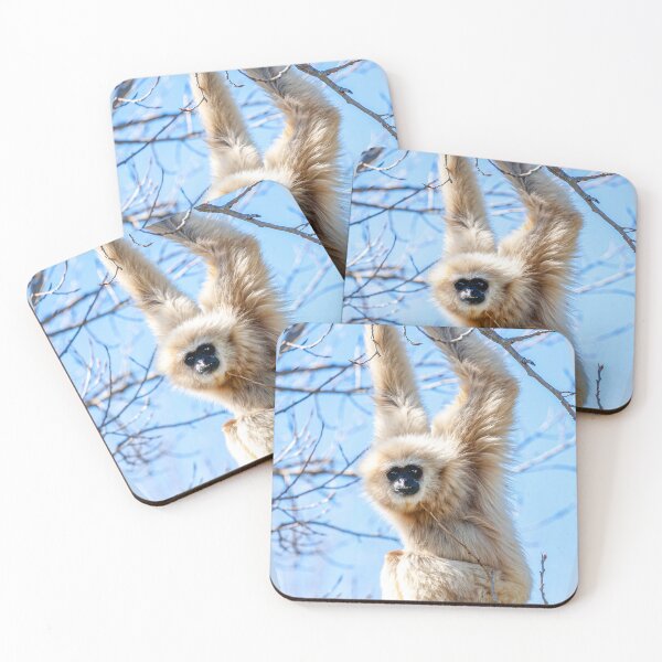 Item preview, Just Hanging around Gibbon designed and sold by Dalyndigital Photography.