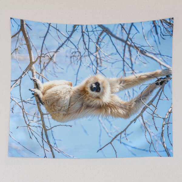 Item preview, Just Hanging around Gibbon designed and sold by Dalyndigital Photography.