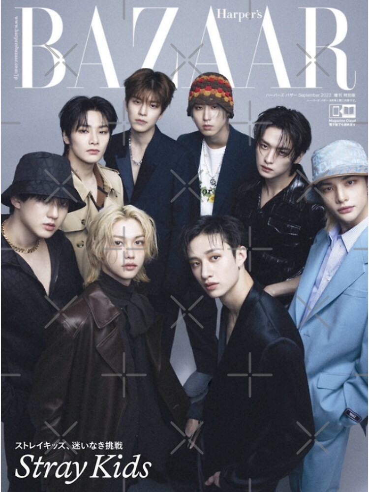 Stray Kids SKZ OT8 poster 2023 bang chan lee know changbin