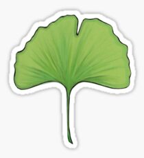 Ginkgo Sticker