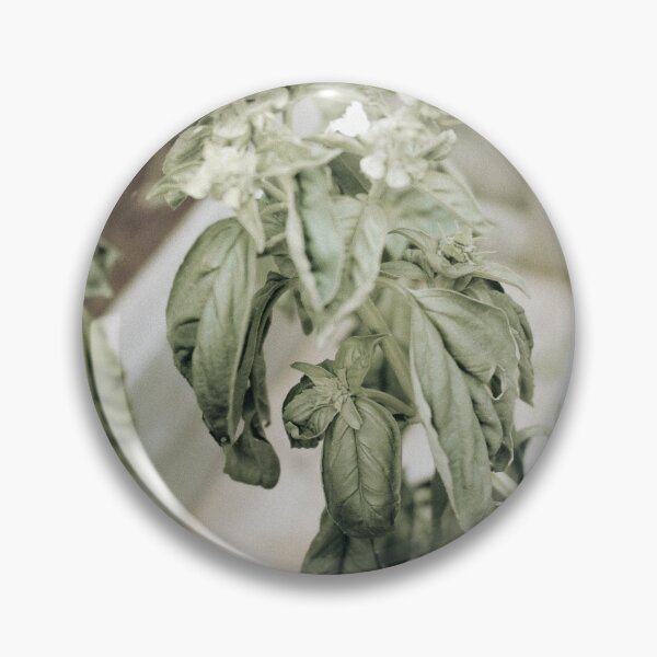 Item preview, Untitled Basil designed and sold by Julian Caesar.
