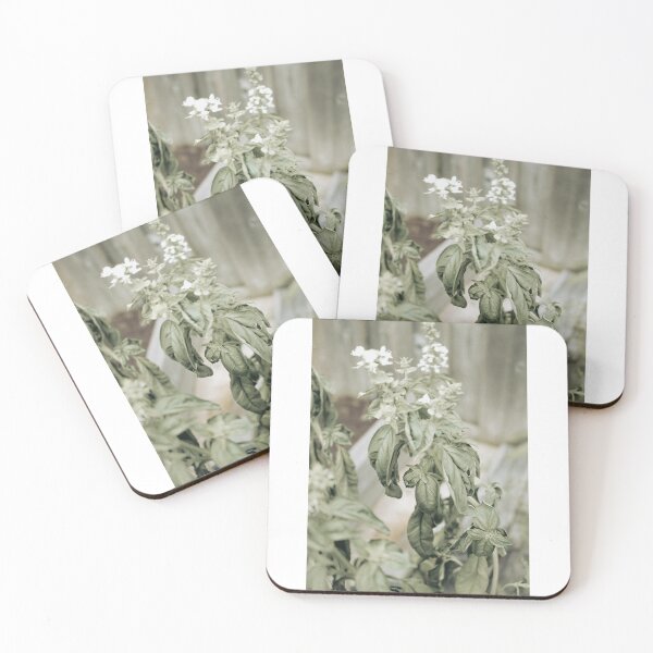 Item preview, Untitled Basil designed and sold by Julian Caesar.