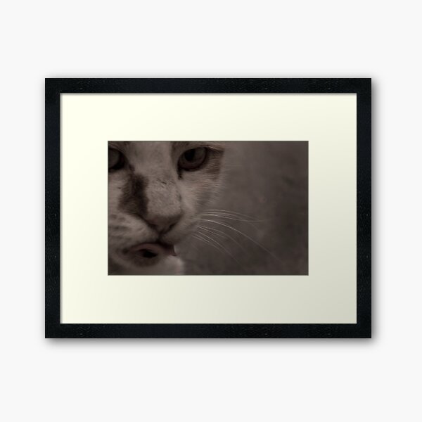 Tongue Twister Framed Art Print