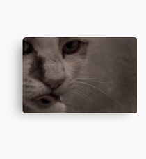 Tongue Twister Canvas Print