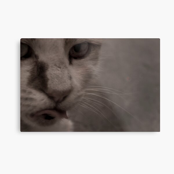 Tongue Twister Metal Print