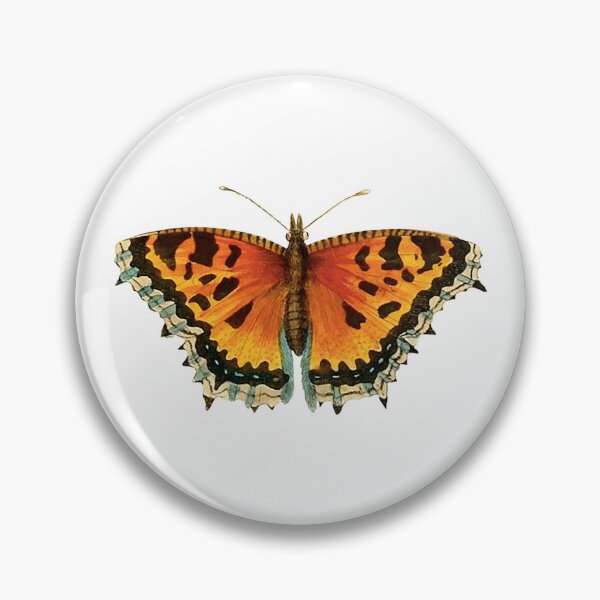 Item preview, Vintage Tortoiseshell Butterfly Illustration designed and sold by StrangeCritters.