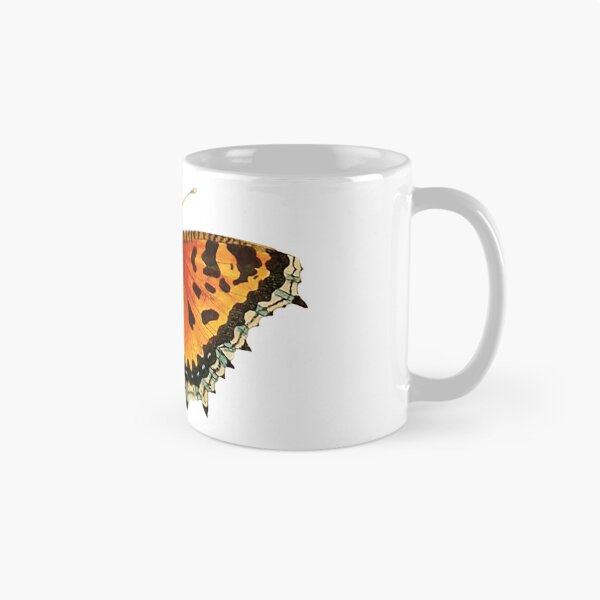 Item preview, Vintage Tortoiseshell Butterfly Illustration designed and sold by StrangeCritters.