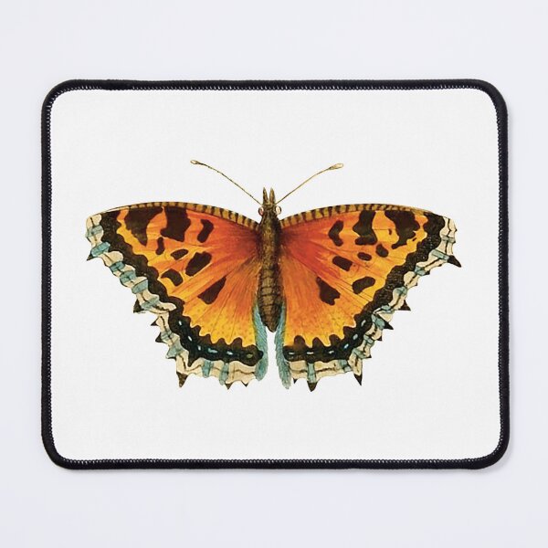 Item preview, Vintage Tortoiseshell Butterfly Illustration designed and sold by StrangeCritters.