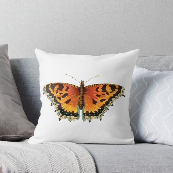 Item preview, Vintage Tortoiseshell Butterfly Illustration designed and sold by StrangeCritters.