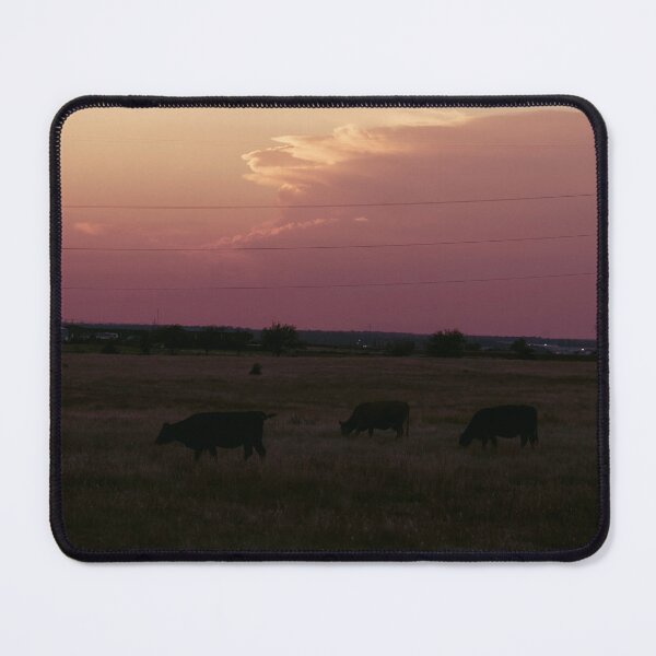 Item preview, Cows in the Shadows designed and sold by okieshotsprints.