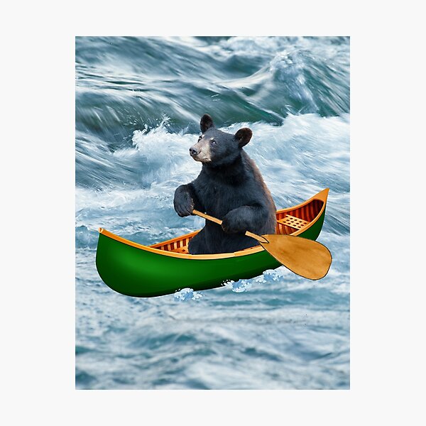 Canoe Bear Photographic Print