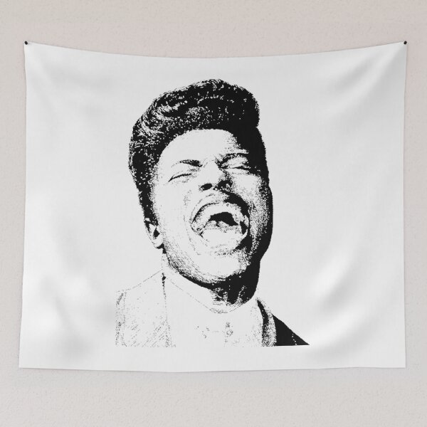 Item preview, Here's Little Richard designed and sold by PicklesLawrenc.