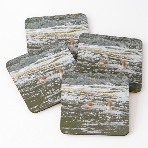 Item preview, Duo Of Bubbles. Common merganser designed and sold by Jouko Lehto Photography.
