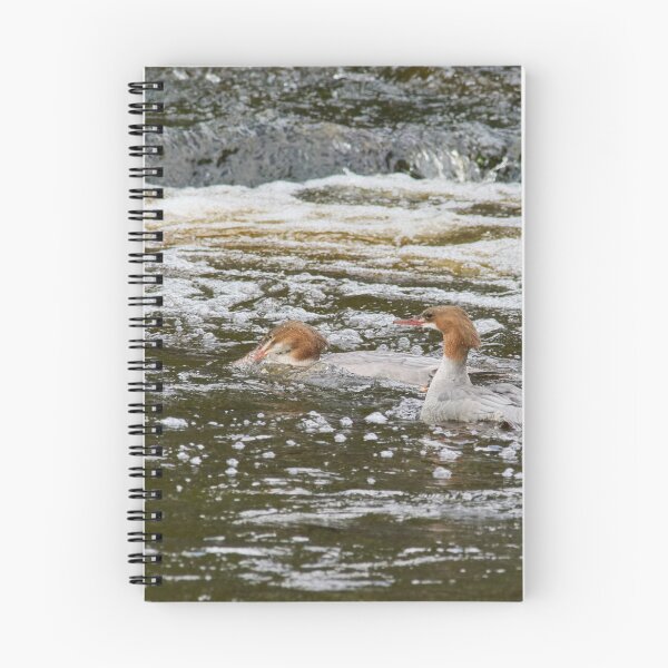 Item preview, Duo Of Bubbles. Common merganser designed and sold by Jouko Lehto Photography.