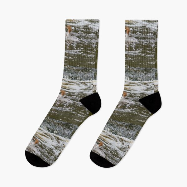 Item preview, Duo Of Bubbles. Common merganser designed and sold by Jouko Lehto Photography.