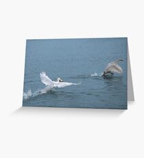 Get back here Greeting Card