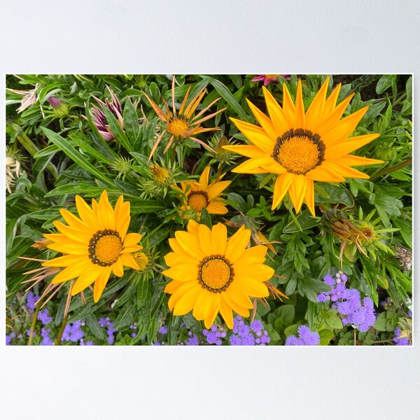 Item preview, Brightly Coloured Flowers designed and sold by Violaman.