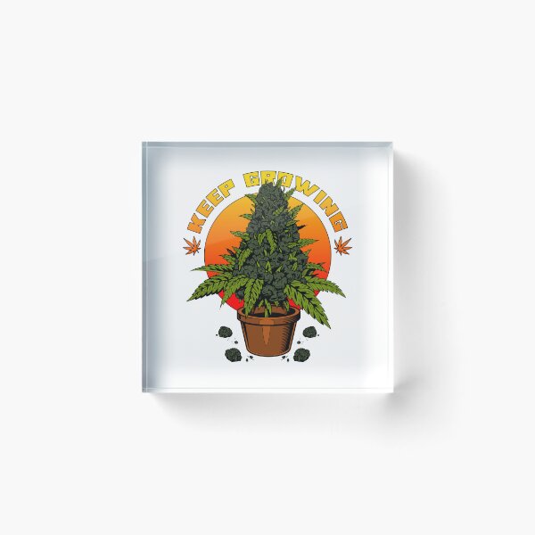 Item preview, Keep Growing | Cannabis Bud in a Pot in front of a Sunset designed and sold by ProdbyNiECO.
