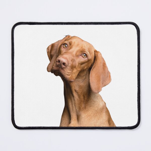Item preview, Beautiful and affectionate dog designed and sold by dsngpro.