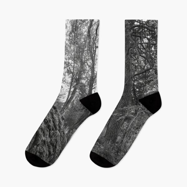 Item preview, Virkaniemi 17 designed and sold by Jouko Lehto Photography.
