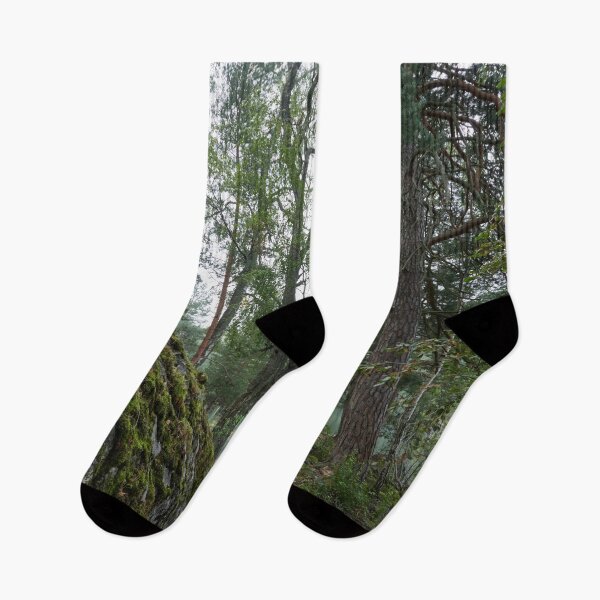 Item preview, Virkaniemi 17 color designed and sold by Jouko Lehto Photography.