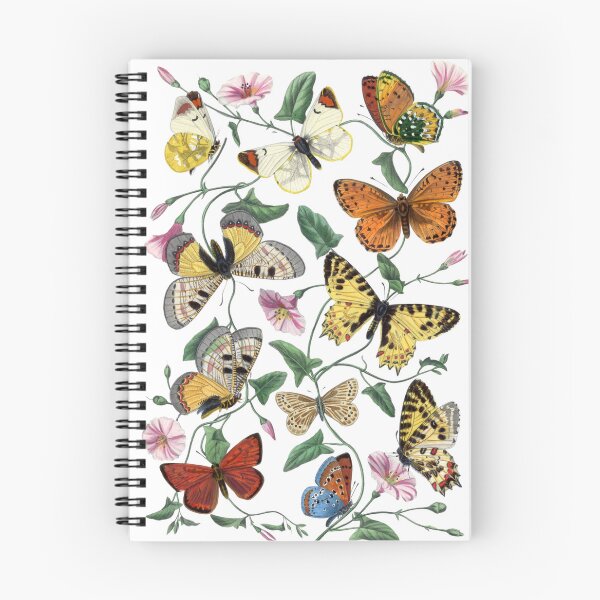 Aperçu de l'œuvre Illustration de papillons et de mites vintage créée et vendue par candlewithhare.