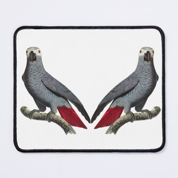 Item preview, twin mirror parrots  designed and sold by WeGotThat.