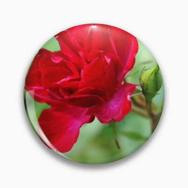 Item preview, Fairy Rose designed and sold by Debbie Oppermann.