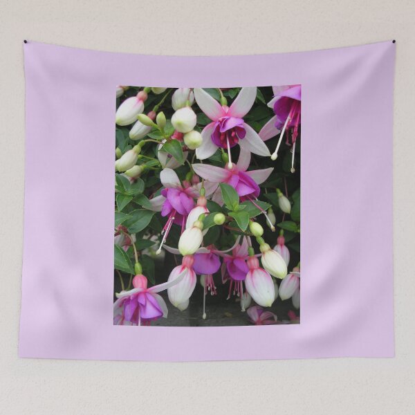 Item preview, Fuchsia designed and sold by lezvee.