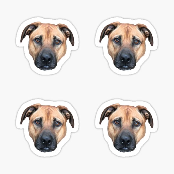Black Mouth Cur Stickers Sticker Pack Cur Dog Shower Curtain