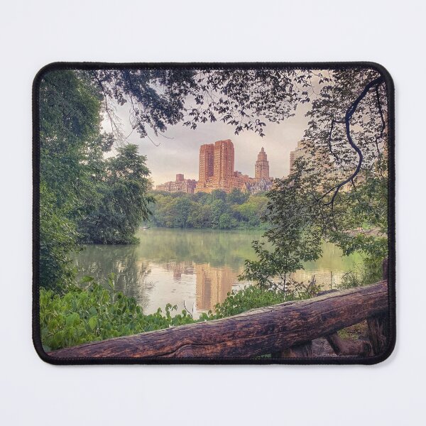 Item preview, Central Park, Manhattan, New York City designed and sold by eleonoraingrid.