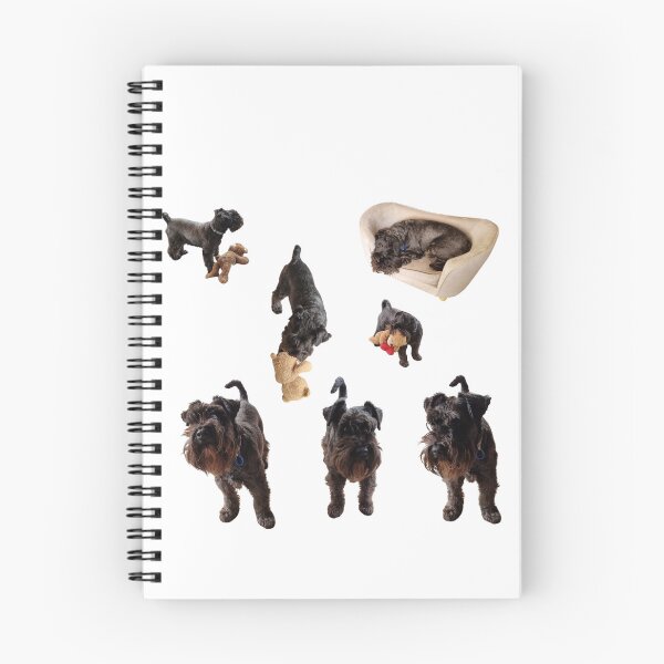 Item preview, Collection of mini Schnauzer number 1 lifelike dog designed and sold by Debsgiftware Ward.