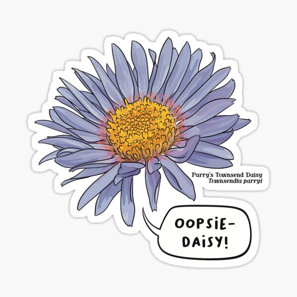 Vista previa del artículo con la obra «Oopsie-Daisy Parrys Townsend Daisy», diseñado y vendido por Northwest Montana Field Journal.
