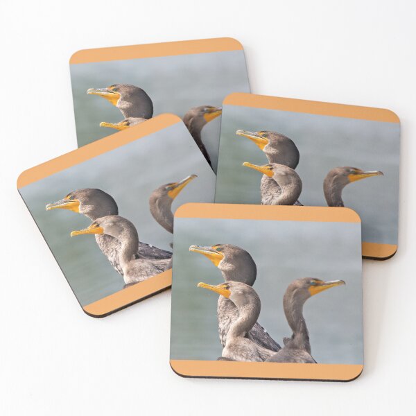 Item preview, Cormorants designed and sold by CarolM.