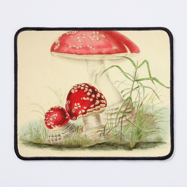Item preview, Champion Mushroom designed and sold by tomorrowsart.