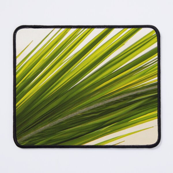 Item preview, Palm Leaf Abstract designed and sold by Debbie Oppermann.