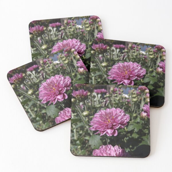 Item preview, purple chrysanthemums flowers designed and sold by McFleur's Lens.