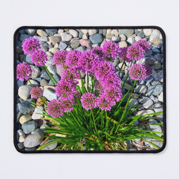 Item preview, Purple blooms in stones designed and sold by JilleArt Designs.