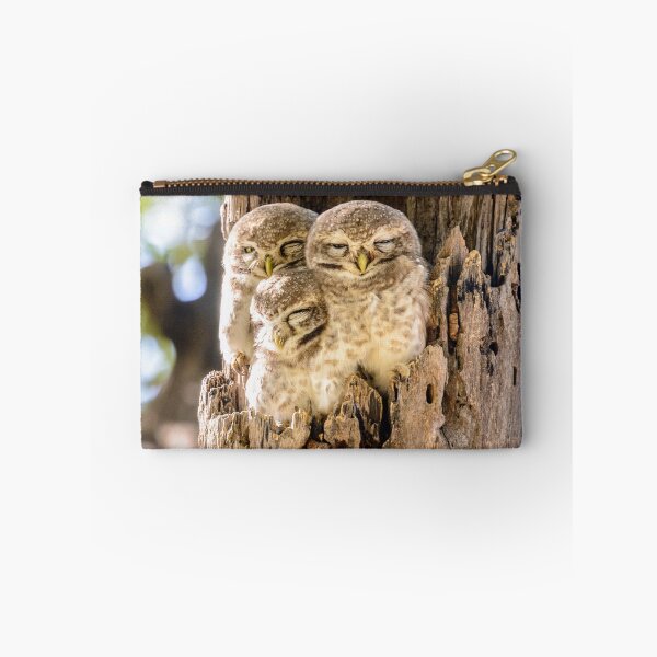 Item preview, Spotted Owlets designed and sold by Werner Padarin.