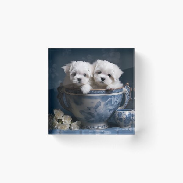 Artikelvorschau, white maltese puppies in a blue willow style tea cup entworfen und verkauft von Kristylynn757.