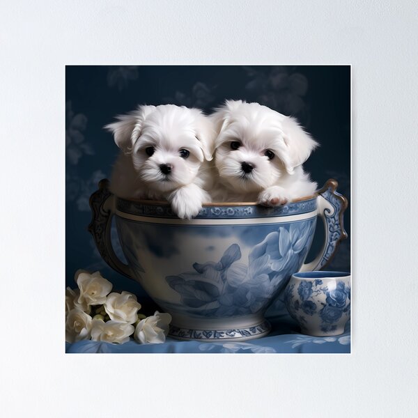 Item preview, white maltese puppies in a blue willow style tea cup designed and sold by Kristylynn757.