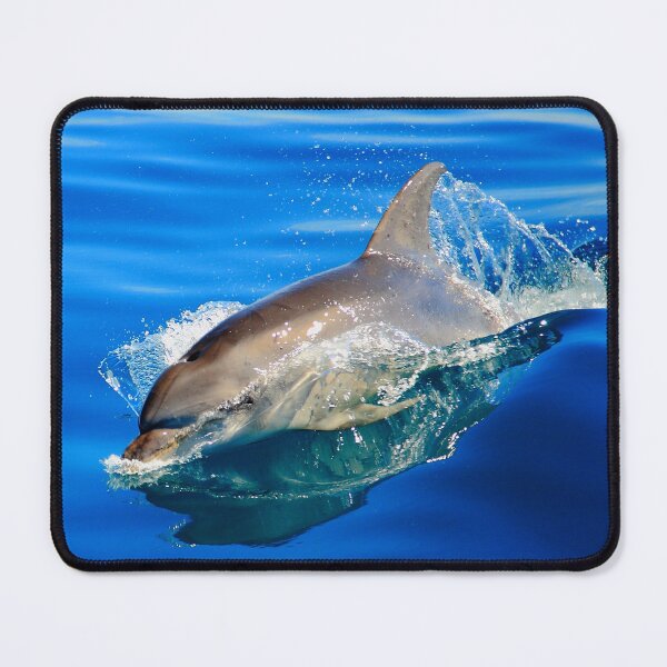 Item preview, bottlenose dolphin. great oyster bay, eastcoast tasmania designed and sold by bodhiimages.
