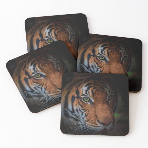 Item preview, Tiger in the dark designed and sold by TaguArtsy.