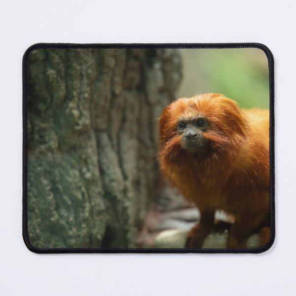 Item preview, Just Monkeying Around designed and sold by TaguArtsy.