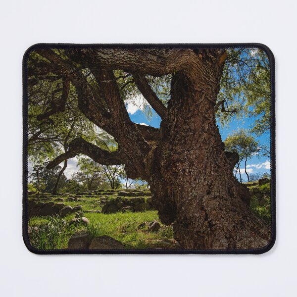 Item preview, The Tree designed and sold by TaguArtsy.