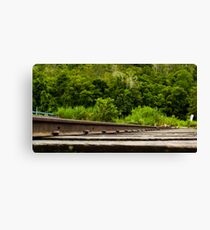 The Sleepers Canvas Print