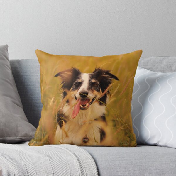 Item preview, Border Collie Wheat designed and sold by ErinCrossman.